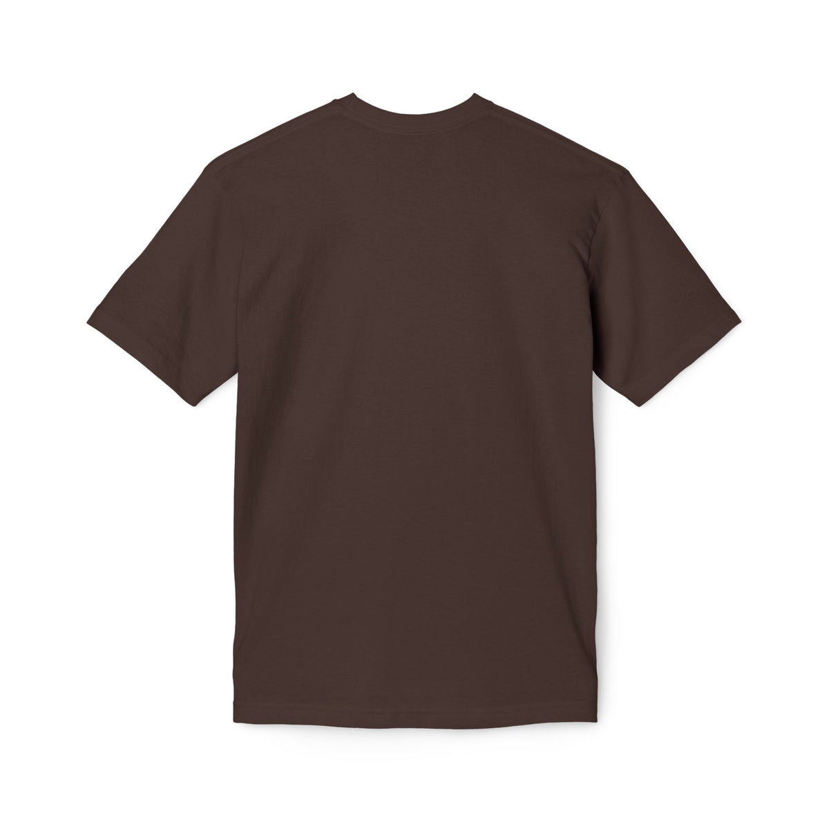 One Redeemer Christian T-Shirt — Faith-Based Church Tee (Lamb of God, Kingdom of God)