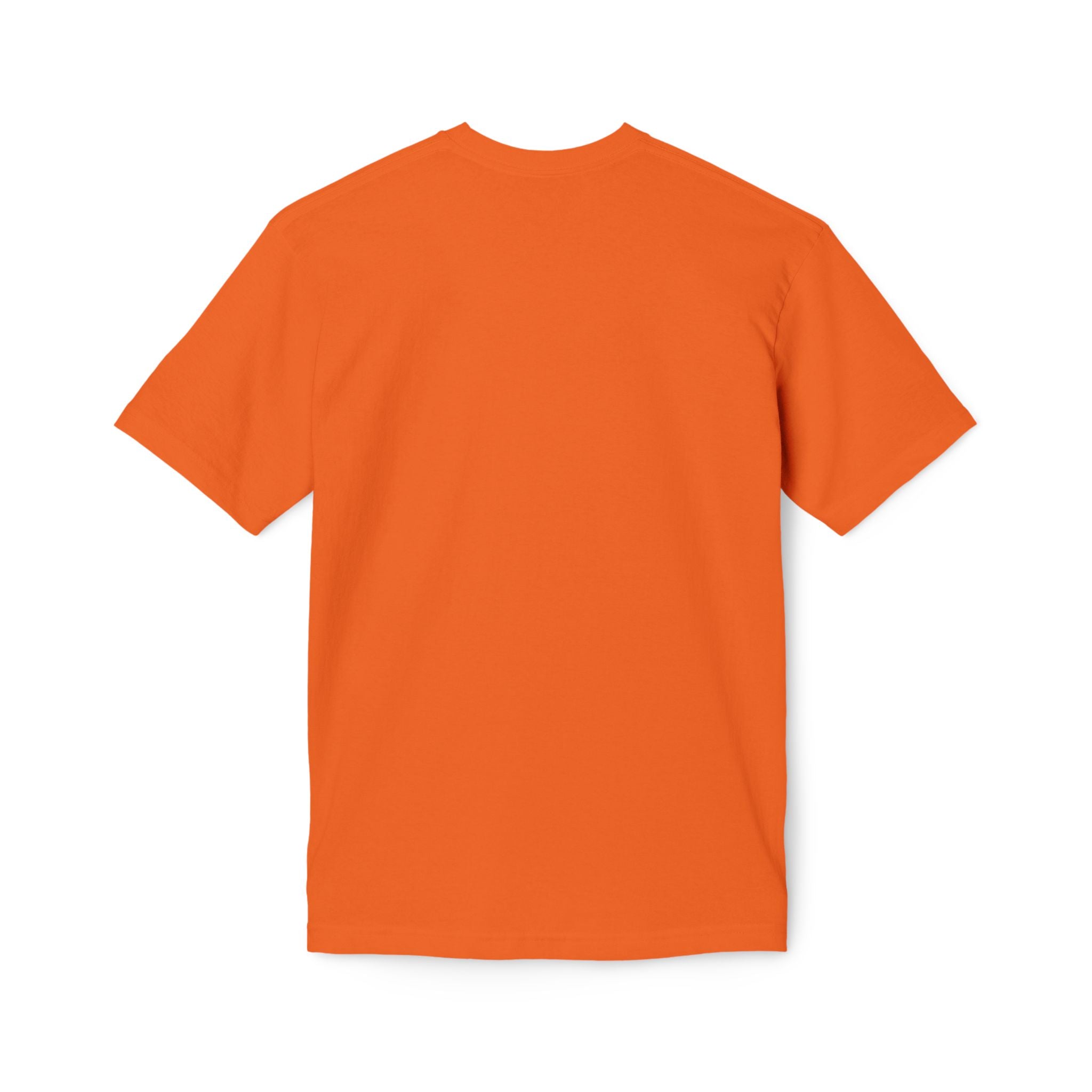 One Redeemer Christian T-Shirt — Faith-Based Church Tee (Lamb of God, Kingdom of God)