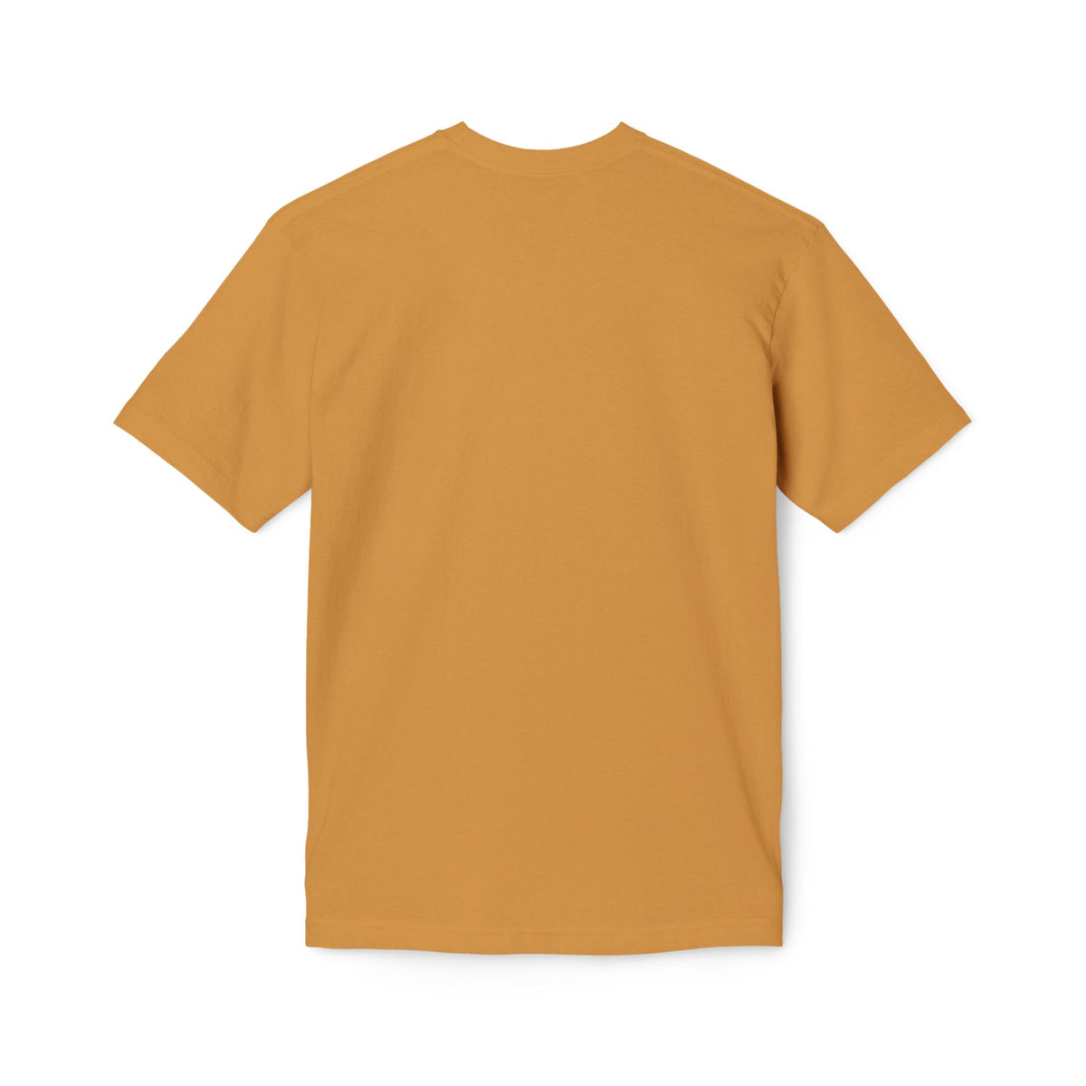 One Redeemer Christian T-Shirt — Faith-Based Church Tee (Lamb of God, Kingdom of God)
