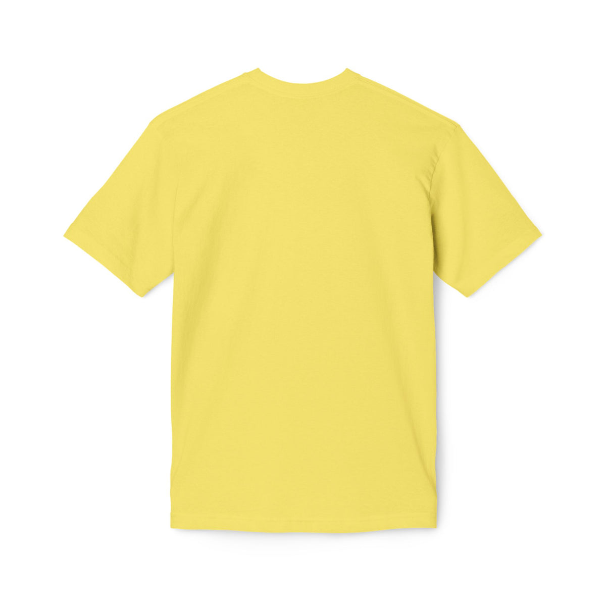 One Redeemer Christian T-Shirt — Faith-Based Church Tee (Lamb of God, Kingdom of God)