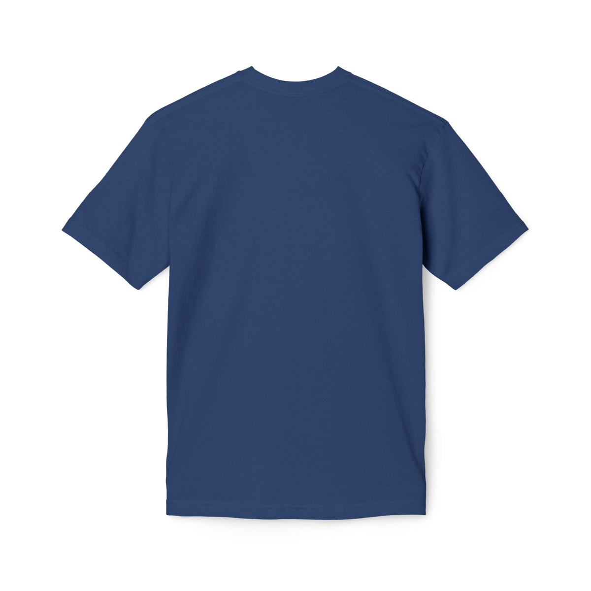 One Redeemer Christian T-Shirt — Faith-Based Church Tee (Lamb of God, Kingdom of God)