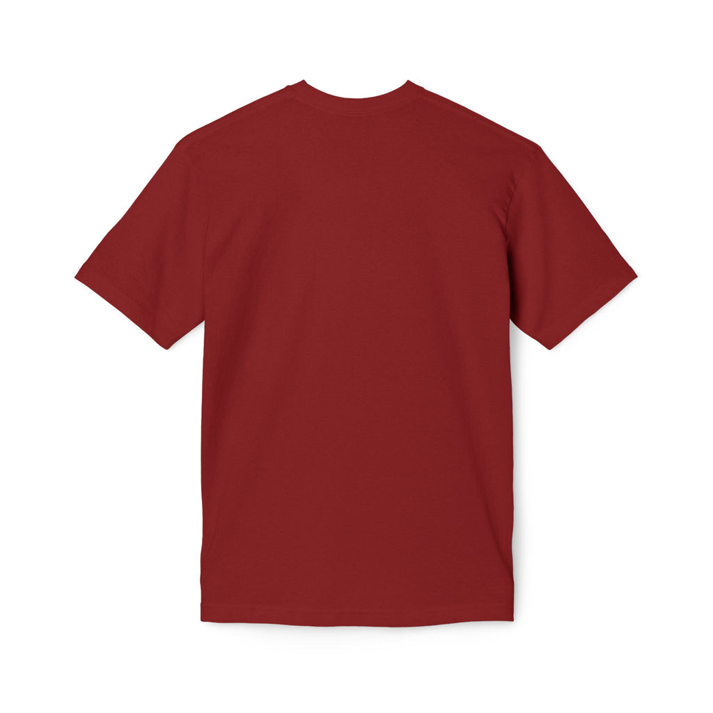One Redeemer Christian T-Shirt — Faith-Based Church Tee (Lamb of God, Kingdom of God)