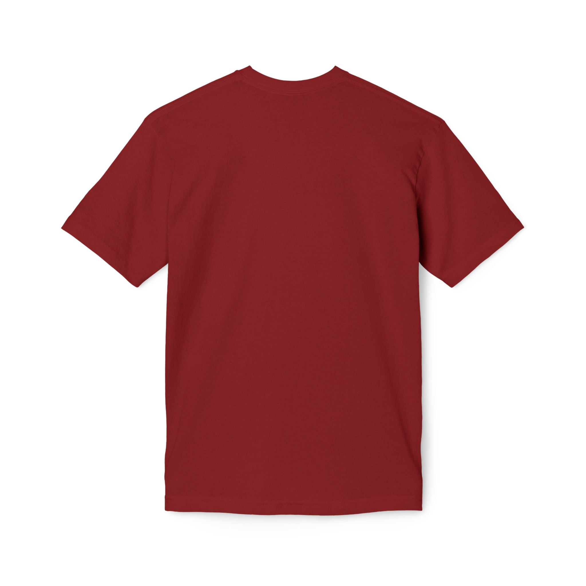 One Redeemer Christian T-Shirt — Faith-Based Church Tee (Lamb of God, Kingdom of God)